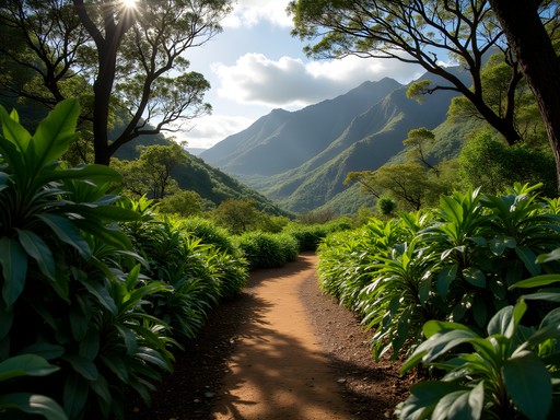 Lush green Kipapa Trail with mountain and ocean views in the distance