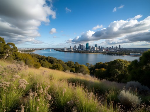 Family enjoying picnic with Perth city skyline view from Kings Park